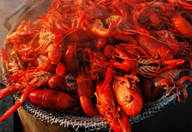 crawfish boil service 77563